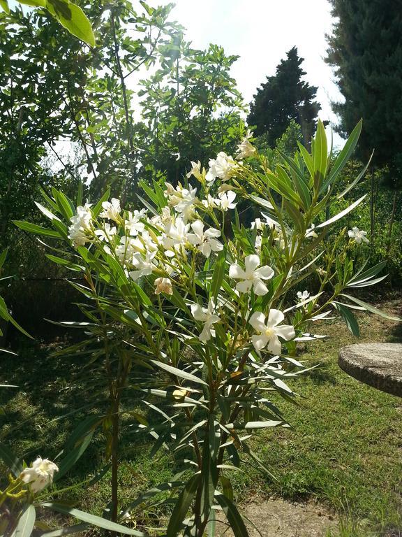 Basisa Bed&Breakfast San Lazzaro di Savena Exterior foto