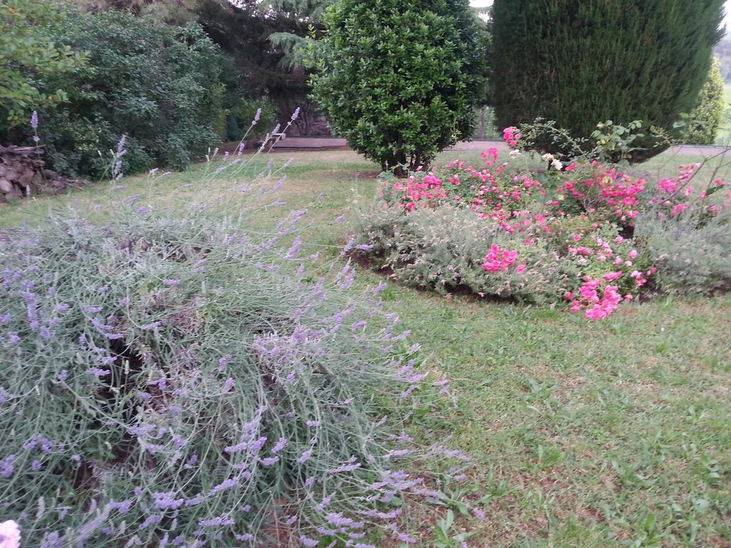 Basisa Bed&Breakfast San Lazzaro di Savena Exterior foto